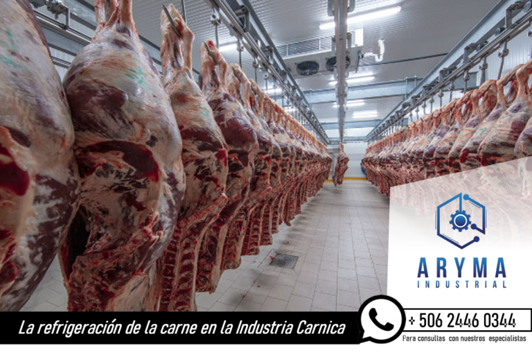 La refrigeración de la carne en la Industria Cárnica